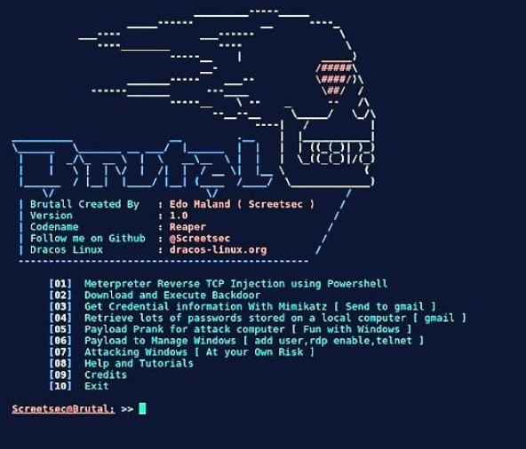 que es kali linux significado pantalla